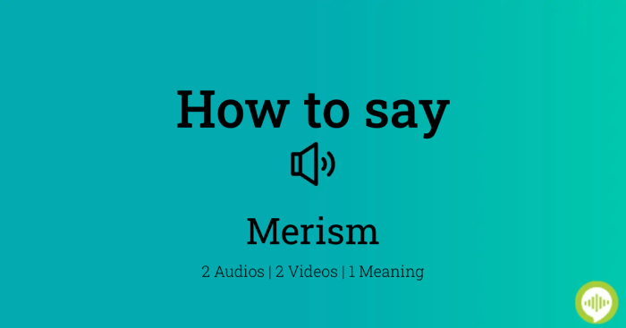 Merism examples in the bible