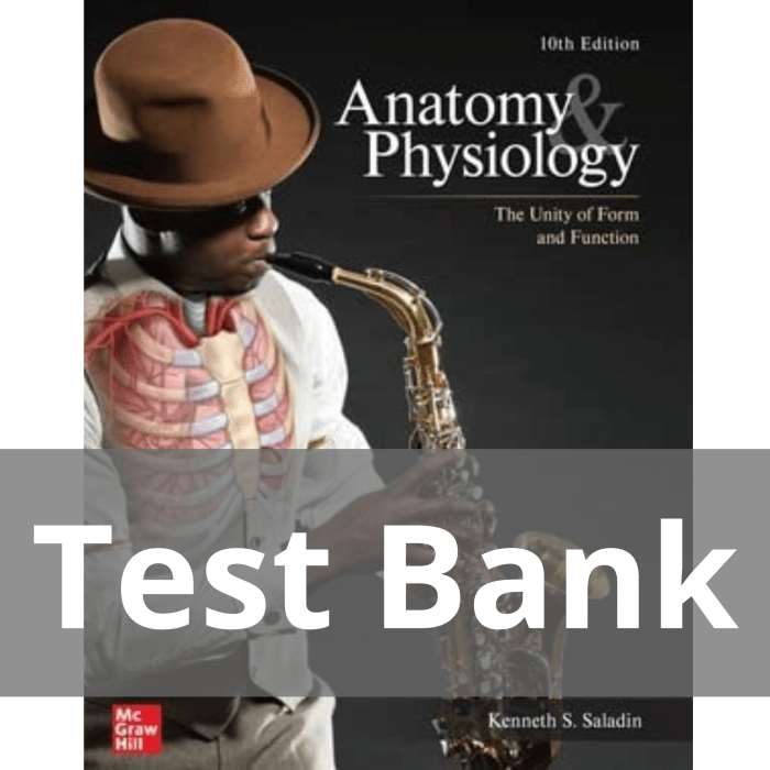 Anatomy and physiology saladin 10th edition