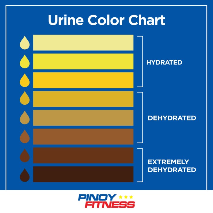 Urine hydration dehydration restroom valuable urinals hydrate