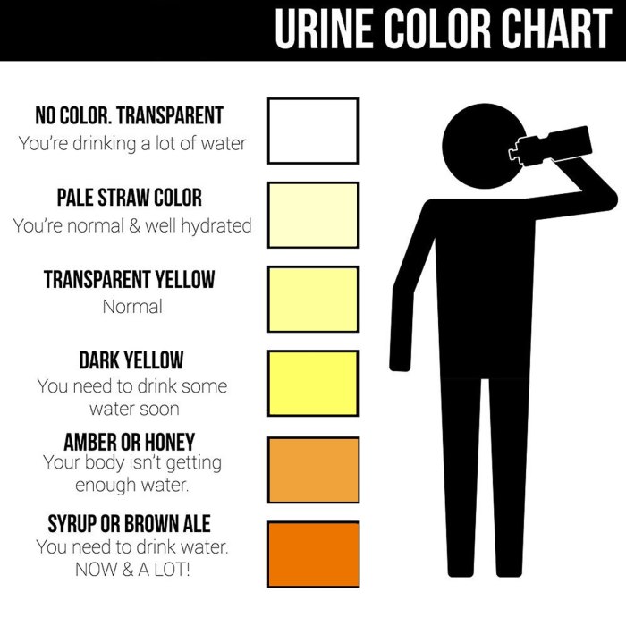 Dehydration urine color chart in spanish