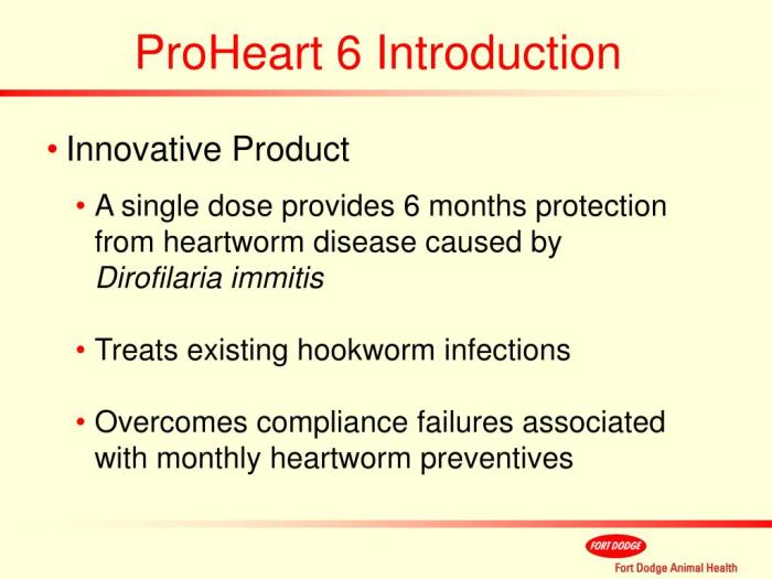 Proheart 6 client information sheet