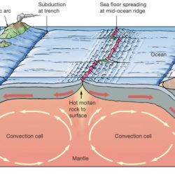 Plate tectonics diagram worksheet answers