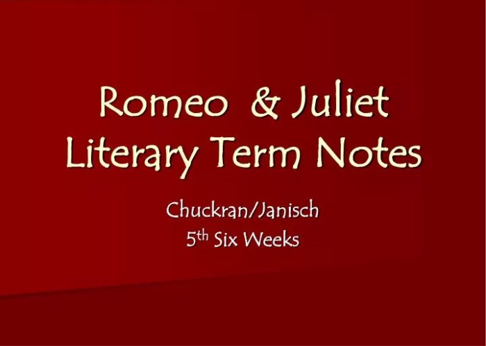 Literary devices of romeo and juliet