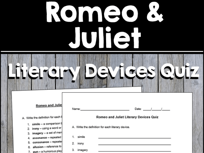 Romeo juliet literary devices lesson plan library