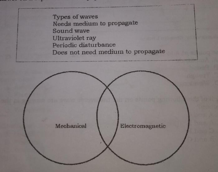 Electromagnetic and mechanical waves venn diagram