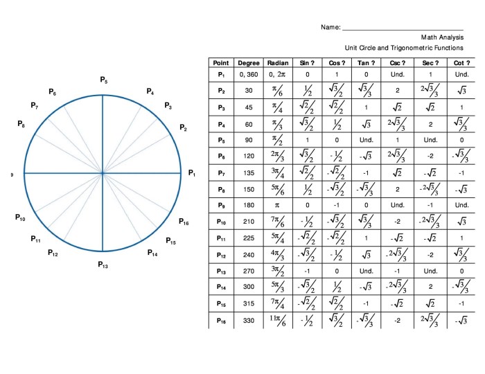 Circle unit trig trigonometry trigonometric functions math